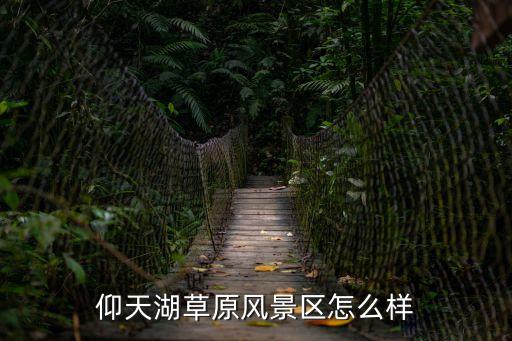 仰天湖草原風(fēng)景區(qū)怎么樣