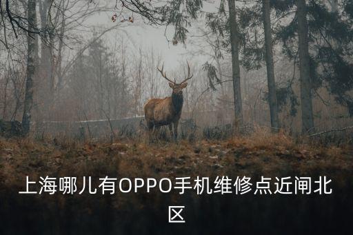 上海哪兒有OPPO手機維修點近閘北區