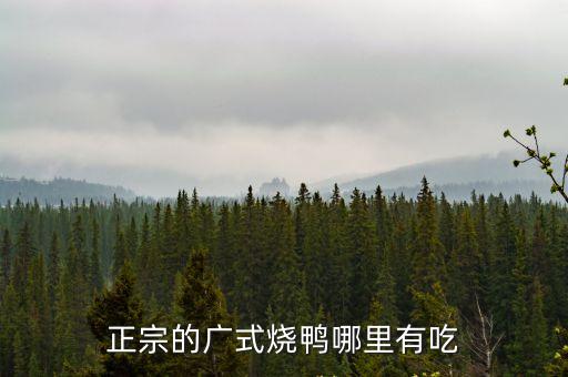 正宗的廣式燒鴨哪里有吃