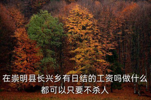 上海市崇明區(qū)長興鎮(zhèn)招聘，崇明長興島怎么找工作啊
