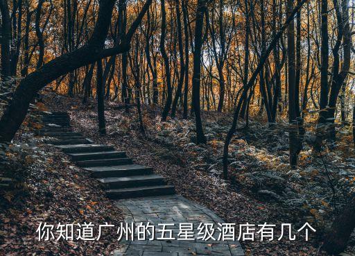 你知道廣州的五星級酒店有幾個
