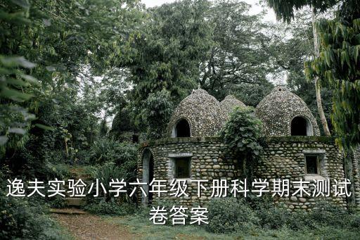 上海市六下科學期末考試，六年級科學期末測試題 急啊就兩填空題