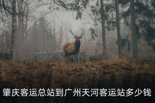 肇慶到廣州的班車多少錢，肇慶客運(yùn)總站到廣州天河客運(yùn)站多少錢