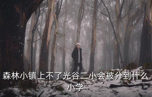 森林小鎮上不了光谷二小會被分到什么小學