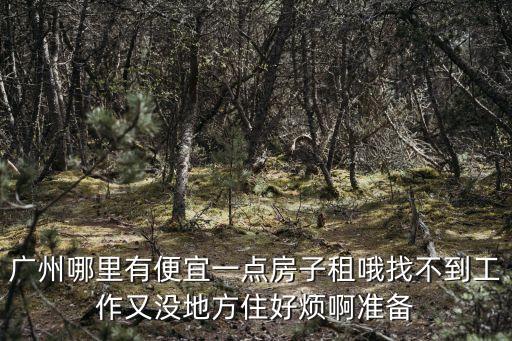 廣州哪里有便宜一點(diǎn)房子租哦找不到工作又沒(méi)地方住好煩啊準(zhǔn)備