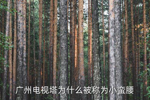 廣州塔外觀在哪里好看，在哪里外觀廣州塔小蠻腰最美 請(qǐng)說明具體位置