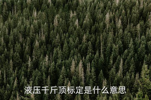 液壓千斤頂標(biāo)定是什么意思