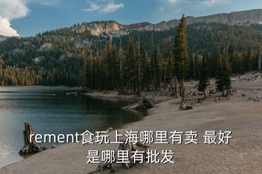 rement食玩上海哪里有賣 最好是哪里有批發
