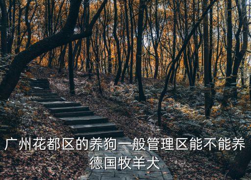 廣州花都區的養狗一般管理區能不能養德國牧羊犬