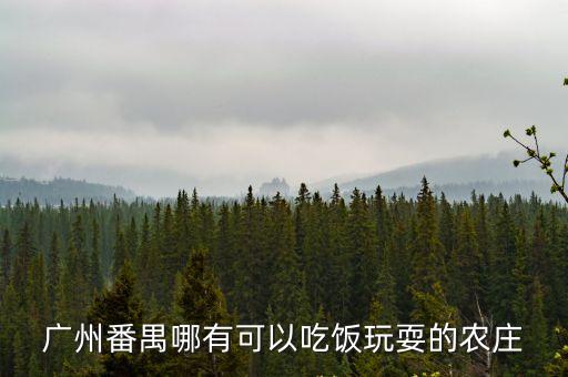 廣州番禺南浦思賢農莊，廣州番禺哪有可以吃飯玩耍的農莊