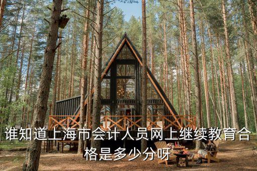 誰知道上海市會計人員網上繼續教育合格是多少分呀