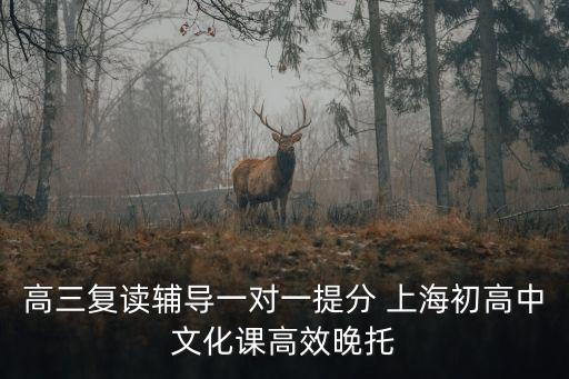 高三復讀輔導一對一提分 上海初高中文化課高效晚托