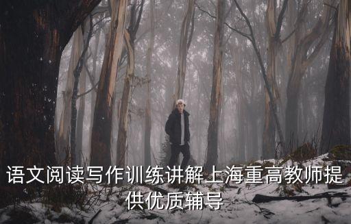 上海市語文教師葉蕾，語文閱讀寫作訓練講解上海重高教師提供優(yōu)質(zhì)輔導