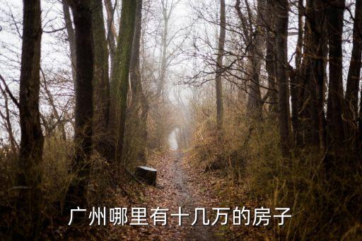 廣州哪里有十幾萬的房子