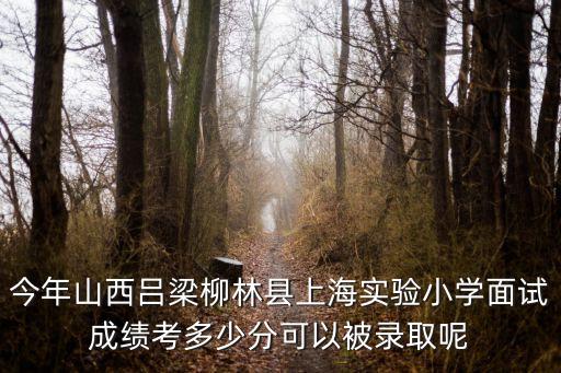 今年山西呂梁柳林縣上海實(shí)驗(yàn)小學(xué)面試成績(jī)考多少分可以被錄取呢