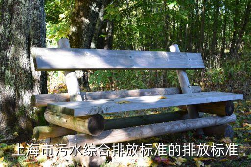上海市村鎮污水，上海市污水綜合排放標準的排放標準