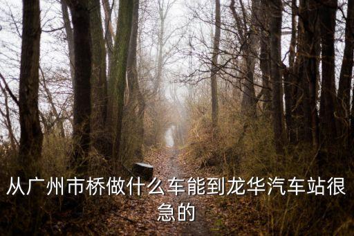 從廣州市橋做什么車能到龍華汽車站很急的