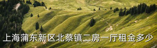 上海蒲東新區(qū)北蔡鎮(zhèn)二房一廳租金多少