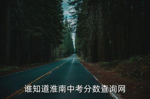 淮南中考成績(jī)查詢，08安徽淮南中考分?jǐn)?shù)網(wǎng)上怎么查詢