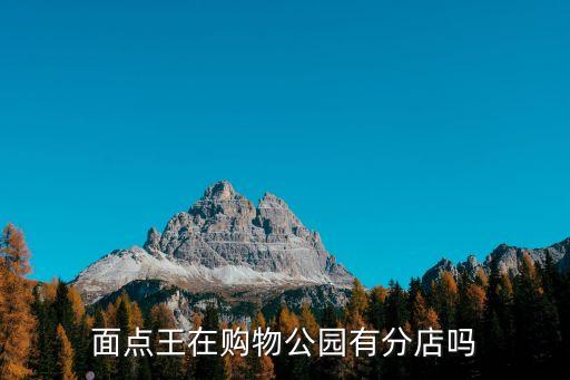 廣州面點(diǎn)王黃埔分店，面點(diǎn)王在購物公園有分店嗎