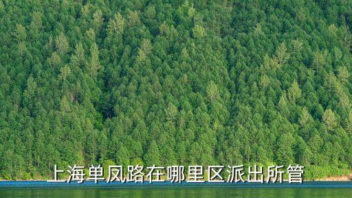 上海市丹鳳路報戶籍地，戶籍詳細地址是什么