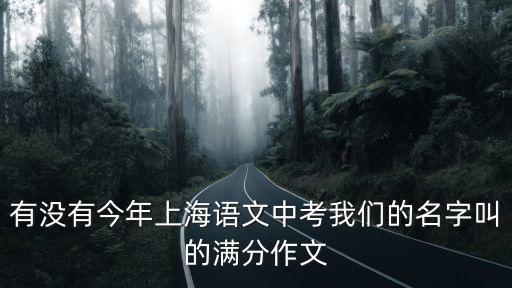 有沒有今年上海語文中考我們的名字叫的滿分作文