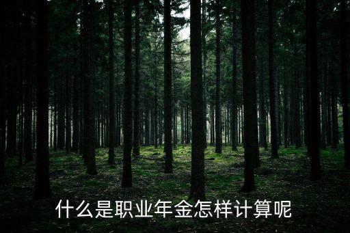 什么是職業年金怎樣計算呢