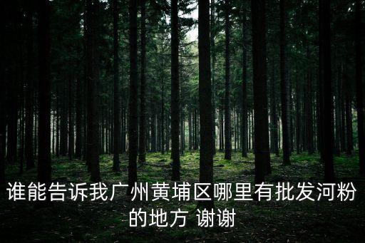 誰能告訴我廣州黃埔區(qū)哪里有批發(fā)河粉的地方 謝謝