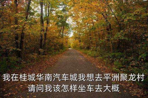 廣州聚龍村交通，鹽步聚龍村到黃岐女人街怎么坐車