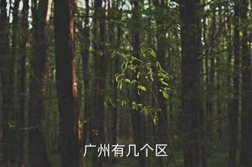 廣州有幾個區