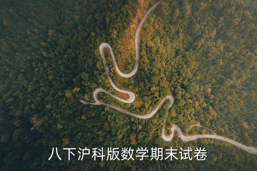 上海市8年級下冊數(shù)學(xué)期末考試試卷，八年級數(shù)學(xué)期末試題