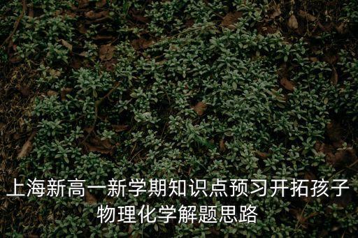 上海市金山新城規(guī)劃圖，上海新高一新學期知識點預習開拓孩子物理化學解題思路