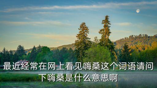 最近經常在網上看見嗨桑這個詞語請問下嗨桑是什么意思啊