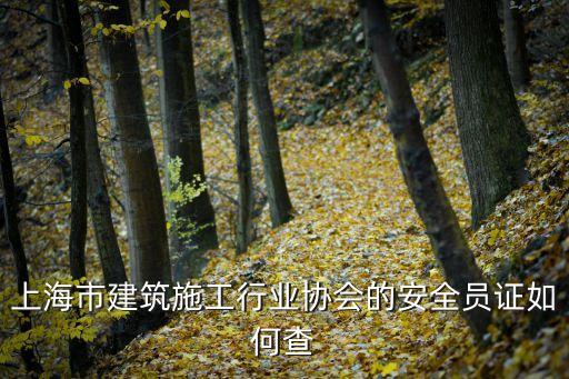 上海市建筑施工行業協會的安全員證如何查