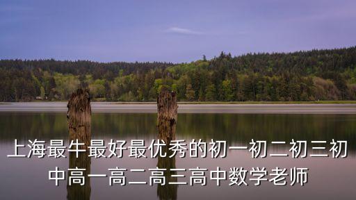 上海最牛最好最優(yōu)秀的初一初二初三初中高一高二高三高中數(shù)學老師