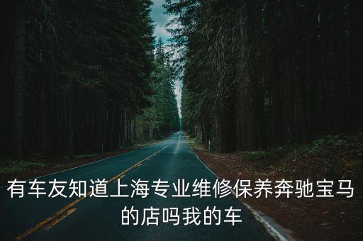有車友知道上海專業維修保養奔馳寶馬的店嗎我的車