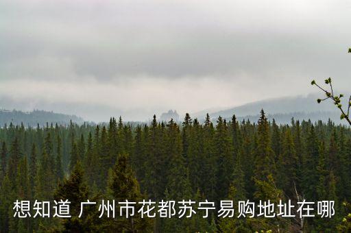 蘇寧易購廣州新店在哪里啊，蘇寧廣州店地址