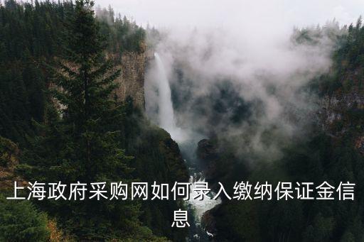 上海政府采購網(wǎng)如何錄入繳納保證金信息