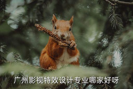 廣州折幕影片設計，廣州那里有環幕4D電影院