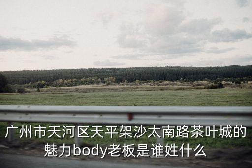 廣州市天河區天平架沙太南路茶葉城的魅力body老板是誰姓什么