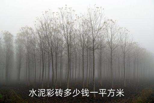 水泥彩磚多少錢一平方米