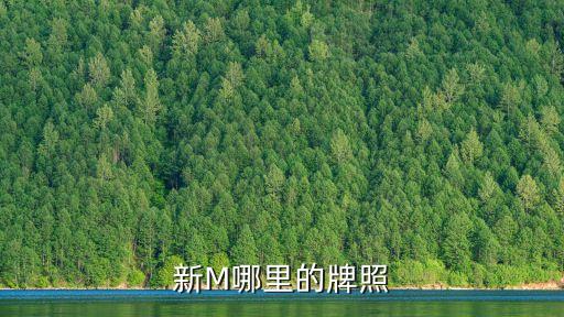 新M哪里的牌照