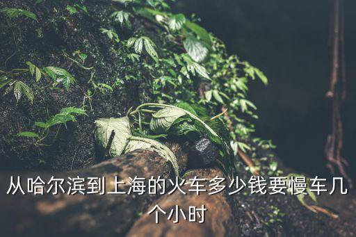 從哈爾濱到上海的火車多少錢要慢車幾個小時