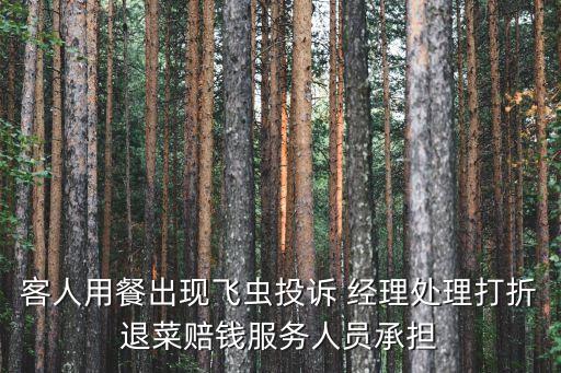 客人用餐出現飛蟲投訴 經理處理打折退菜賠錢服務人員承擔