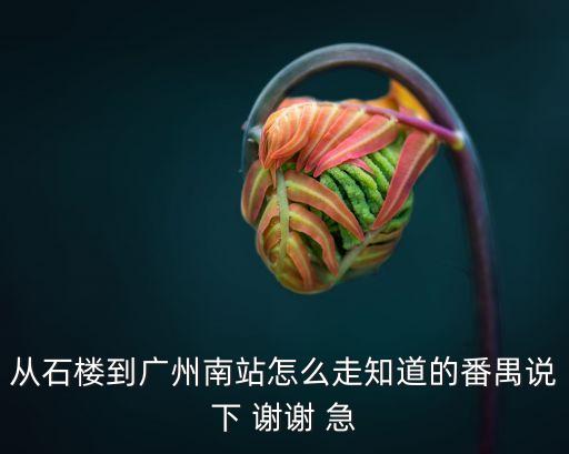 從石樓到廣州南站怎么走知道的番禺說下 謝謝 急