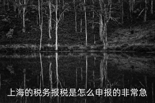 上海的稅務報稅是怎么申報的非常急