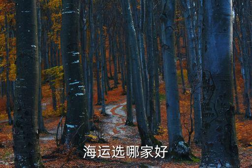 海運選哪家好