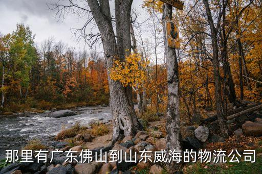 全國(guó)地區(qū)廣州到威海物流公司，廣州到威海海運(yùn)公司
