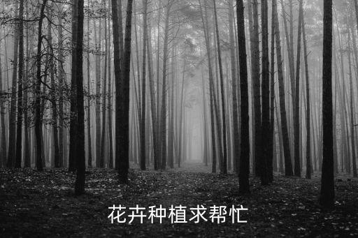 花卉種植求幫忙