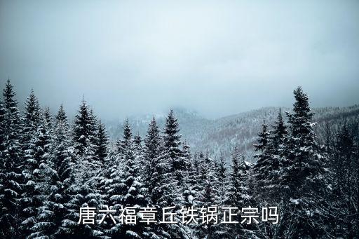 唐六福章丘鐵鍋正宗嗎
